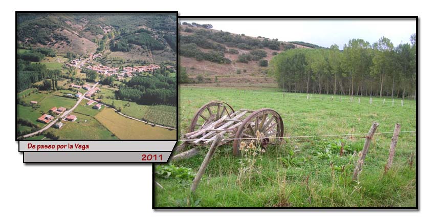 De paseo por la Vega