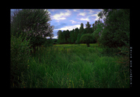 Vista verde