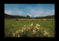 Vista del Valle